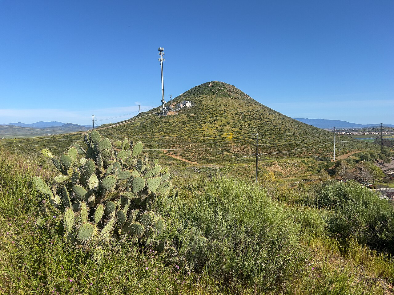 Bell Mountain in Menifee with cactus and grass in the foreground